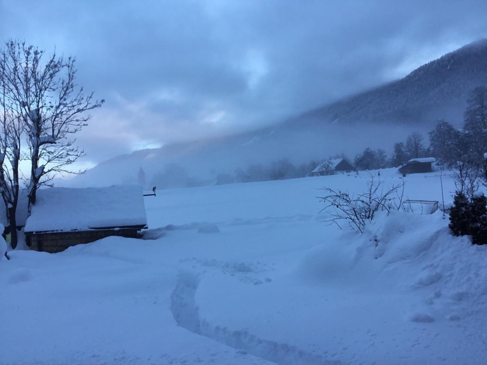 Apartments Koblar Kranjska Gora Værelse billede
